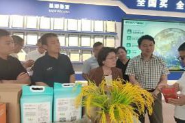 侨助出海聚合力 对标取经拓市场——枣庄市侨联赴青田考察学习赋能企业扬帆海外